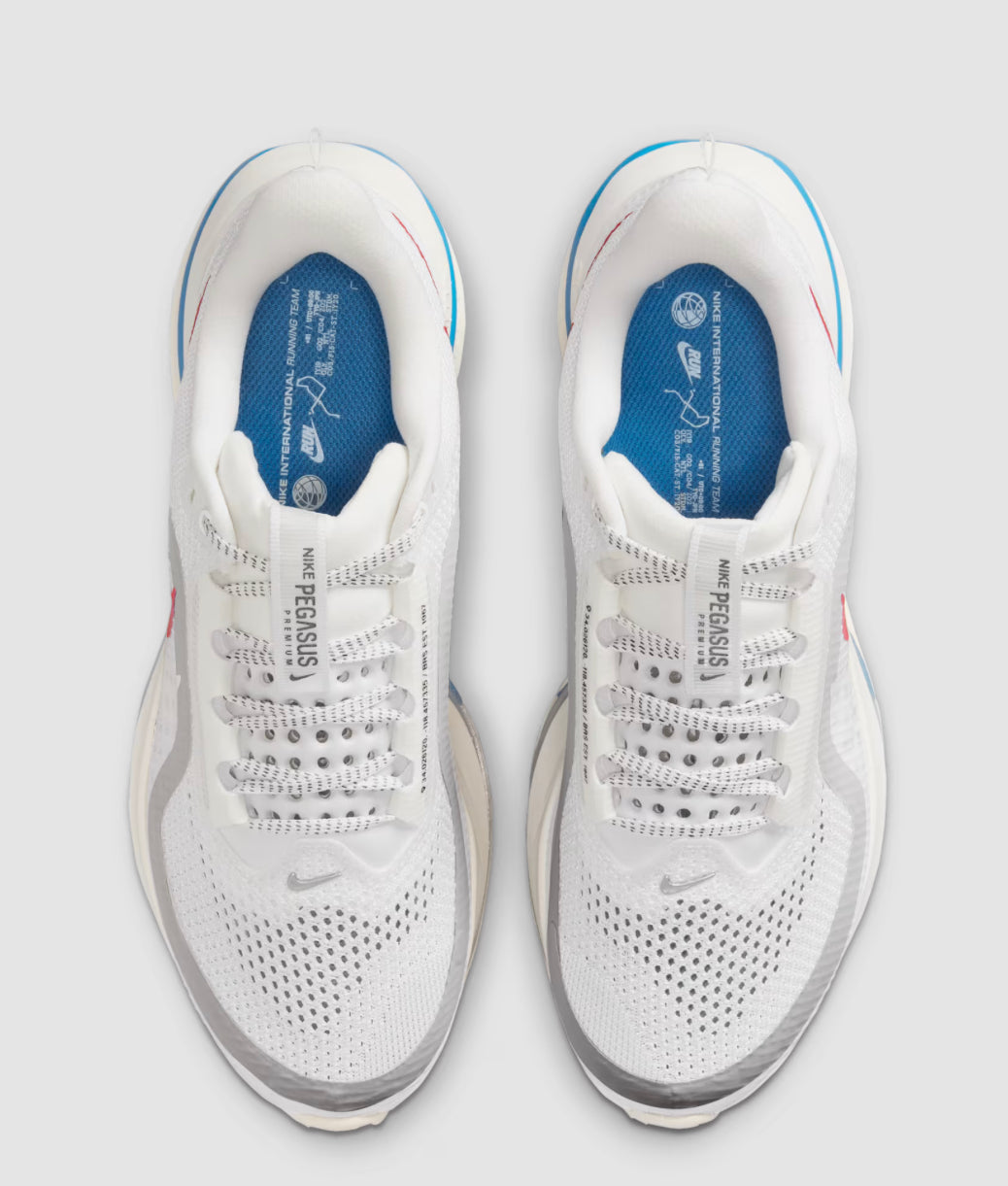 Nike pegasus premium