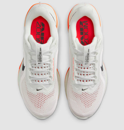 Nike pegasus premium