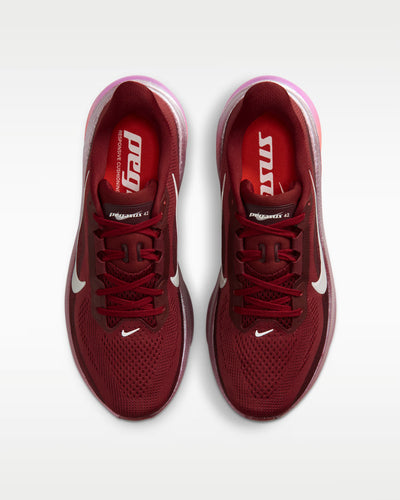Nike Pegasus 42