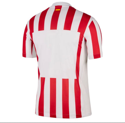 Atlético de Madrid home jersey   25/26 tm