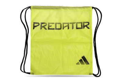 SHOES BAG
