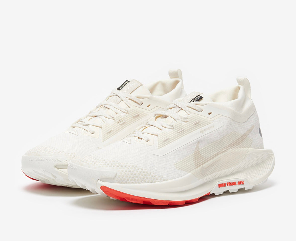 NIKE PEGASUS TRAIL 5 GORE-TEX