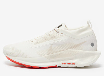 NIKE PEGASUS TRAIL 5 GORE-TEX
