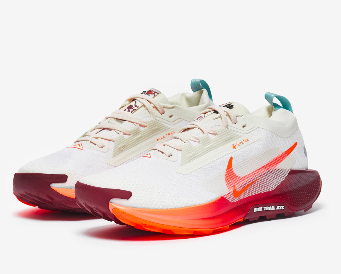 NIKE PEGASUS TRAIL 5 GORE-TEX