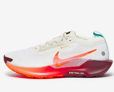 NIKE PEGASUS TRAIL 5 GORE-TEX