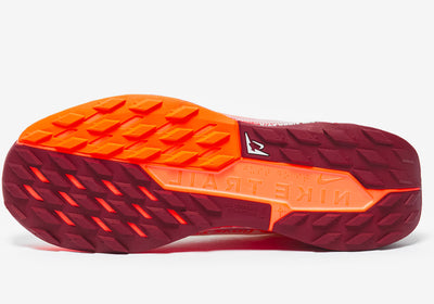 NIKE PEGASUS TRAIL 5 GORE-TEX