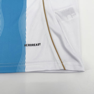 Argentina fan blue and white training jersey 24-25 tm