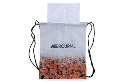 SHOES BAG
