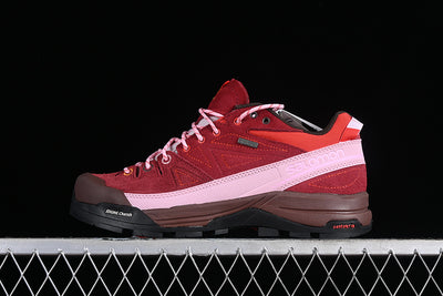 X ALPAGES GTX FOR TBA