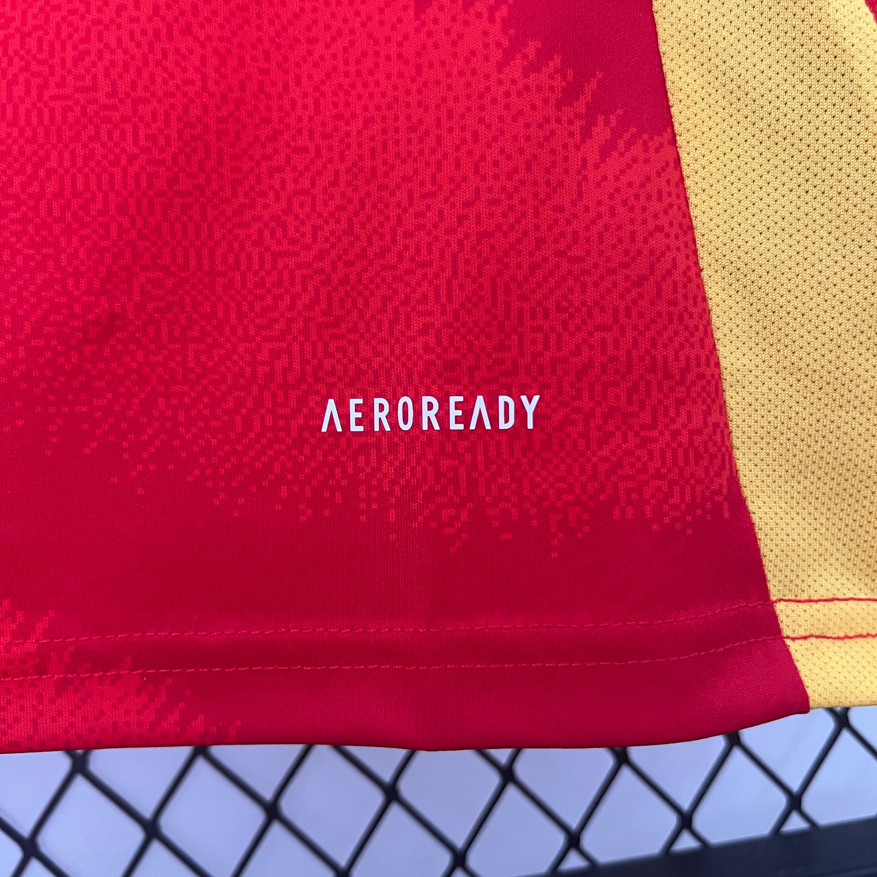 2024 Spain home red soccer jersey