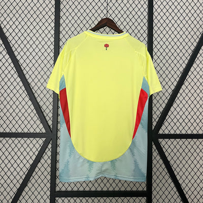 2024 Spain away soccer jersey