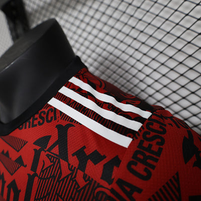 24-25 Arsenal Red Special Player version jersey tm