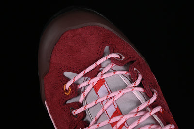 X ALPAGES GTX FOR TBA