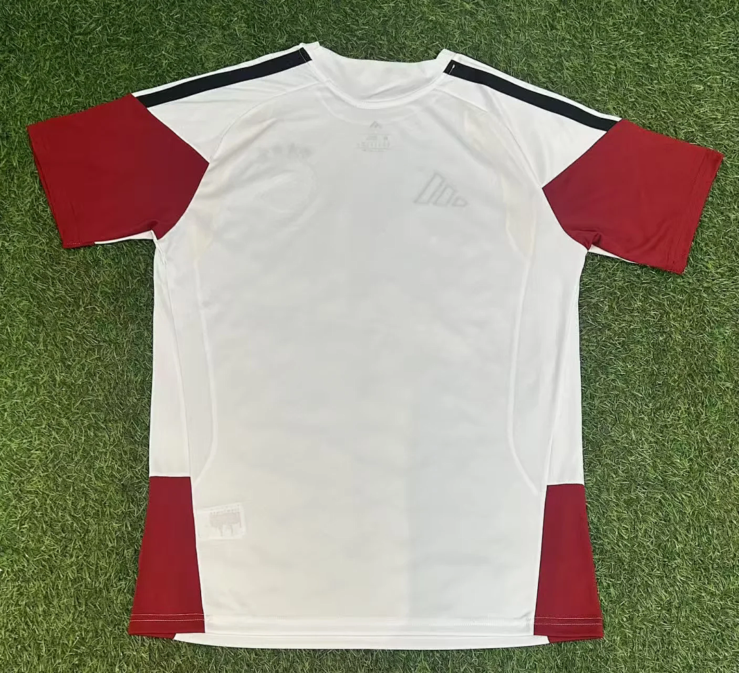 Germany 2026 White Training Jersey