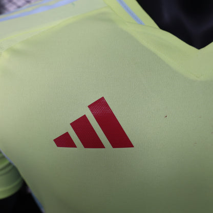 2024 Spain away yellow player version jersey tm