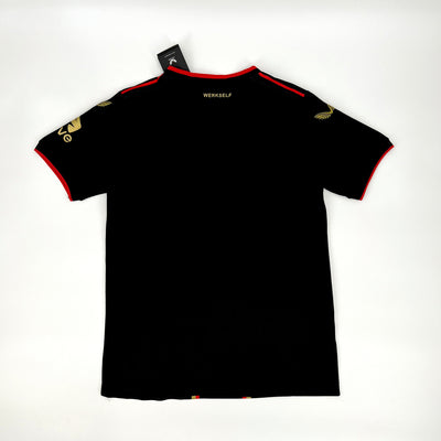 24-25 Leverkusen Champion Edition soccer jersey Fan Version tm