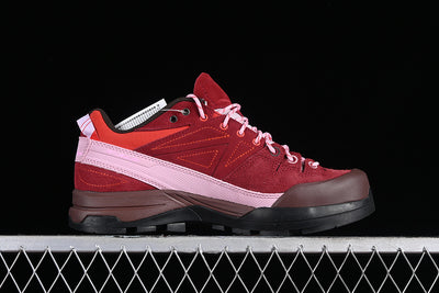 X ALPAGES GTX FOR TBA