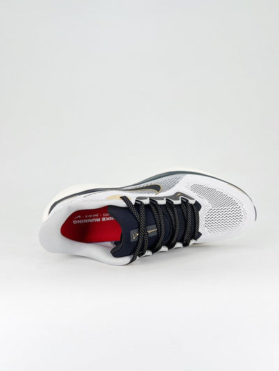 Nike Air Zoom Pegasus 41 - Royal Feet 2025