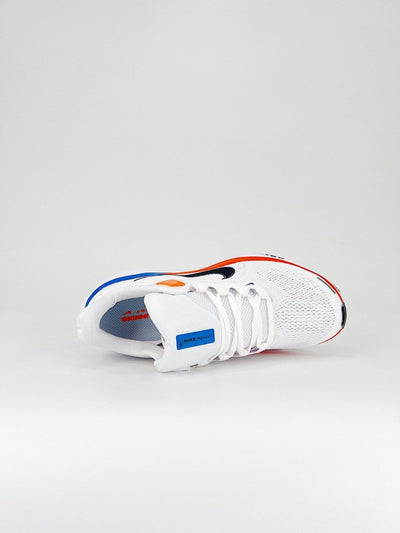 Nike Air Zoom Pegasus 41 - Royal Feet 2025