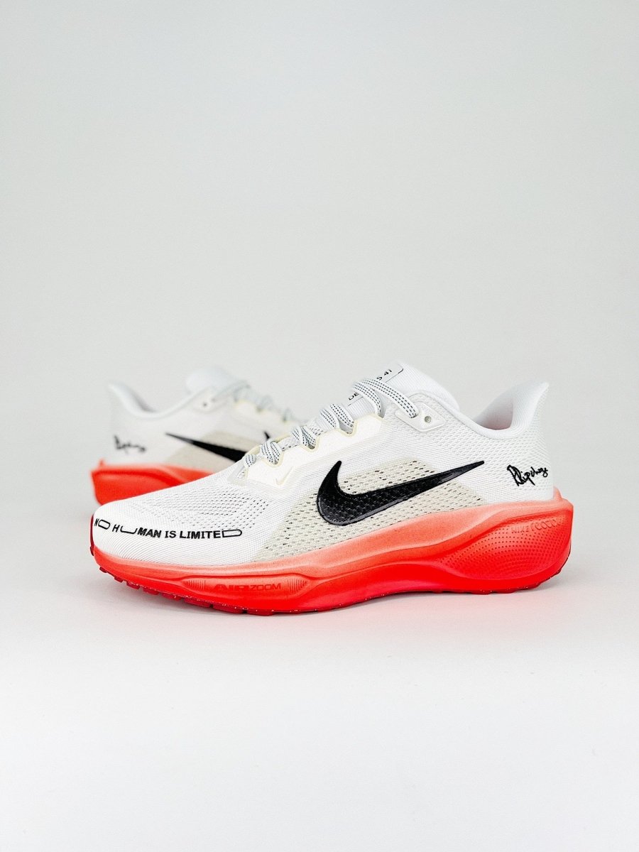 Nike Air Zoom Pegasus 41 - Royal Feet 2025