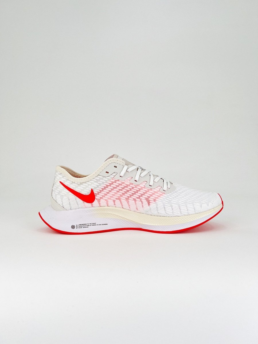 Nike Zoom Pegasus Turbo 2 - Royal Feet 2025